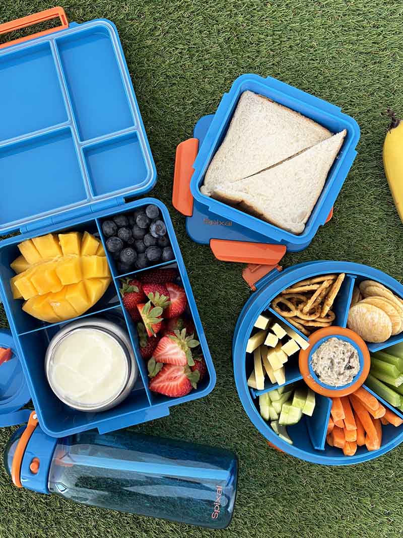 Blue lunch box with compartments filled with snacks and a sandwich on a grass background