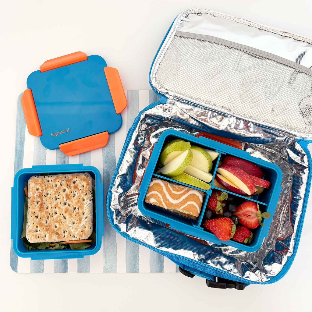 Quad Bento Lunch Box Blue — side view | Spixal