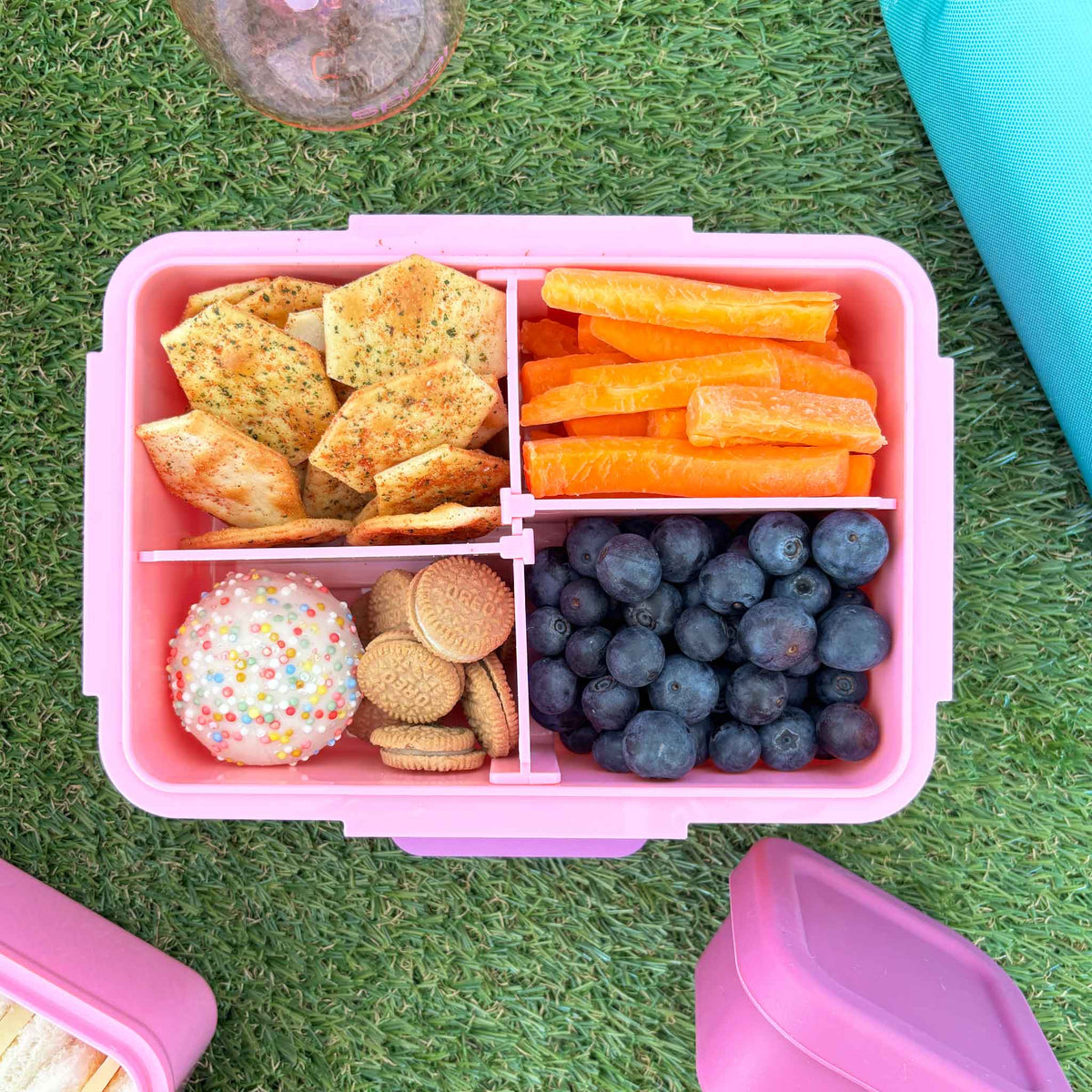 Quad Bento Lunch Box Pink — side view | Spixal