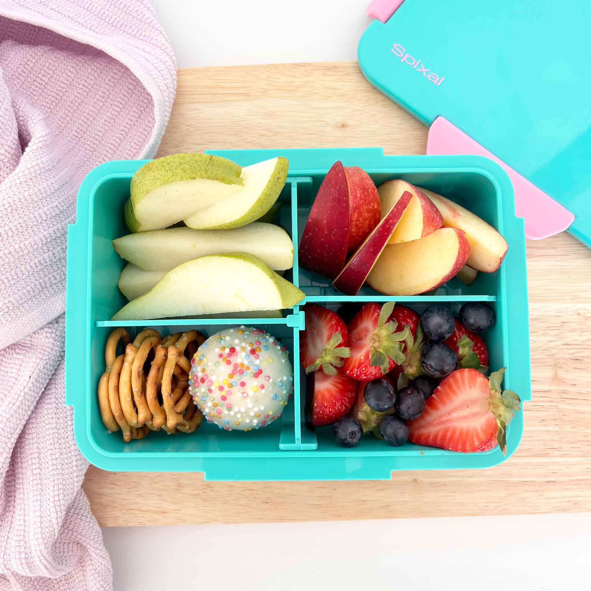 Quad Bento Box Lunch Box Teal - Adjustable Compartments Secondary image