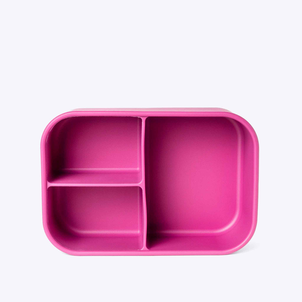3 Compartment Bento Pink — detail and hardware close up | Spixal