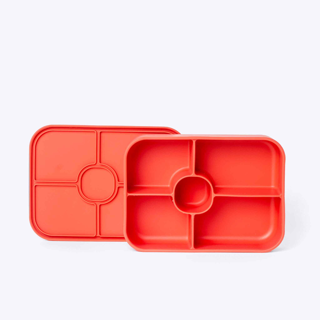 5 Compartment Bento Coral — side view | Spixal