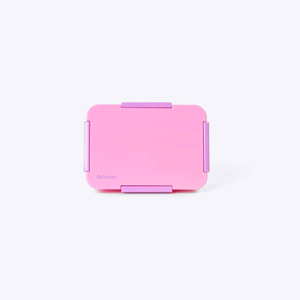 Quad Bento Lunch Box Pink — 4 compartment modular bento with removable dividers | Spixal