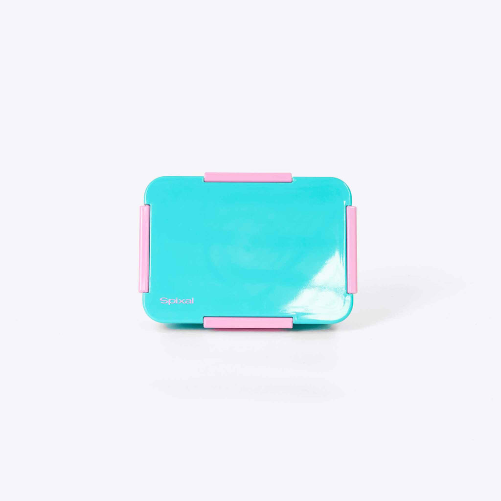 Quad Bento Lunch Box Teal — 4 compartment modular bento with removable dividers | Spixal